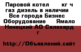 Паровой котел 2000 кг/ч газ/дизель в наличии - Все города Бизнес » Оборудование   . Ямало-Ненецкий АО,Салехард г.